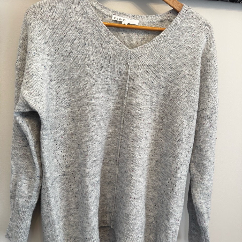 Cleo Flecked V-Neck Tunic Sweater